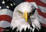 CIA Scholarship 
