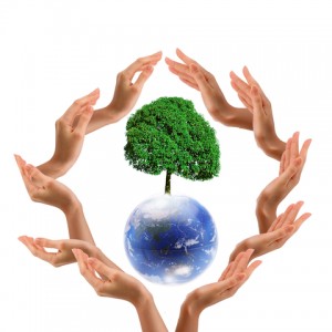 environmental scholarships environmental scholarships