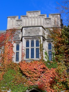 UM scholarships grants